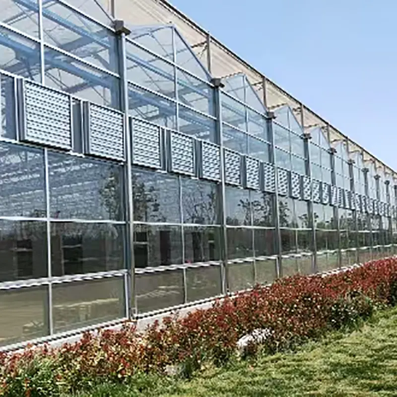 البيت الأخضر الزجاجي المجوف متعدد الطبقات ذو الطبقة المزدوجة