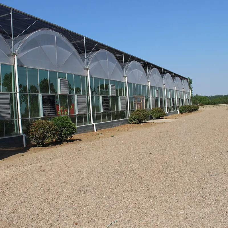 PO-Film Multi-Span Greenhouse PO-Film Multi-Span Greenhouse