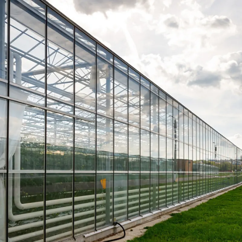 PC Plate Multi-Span Greenhouse