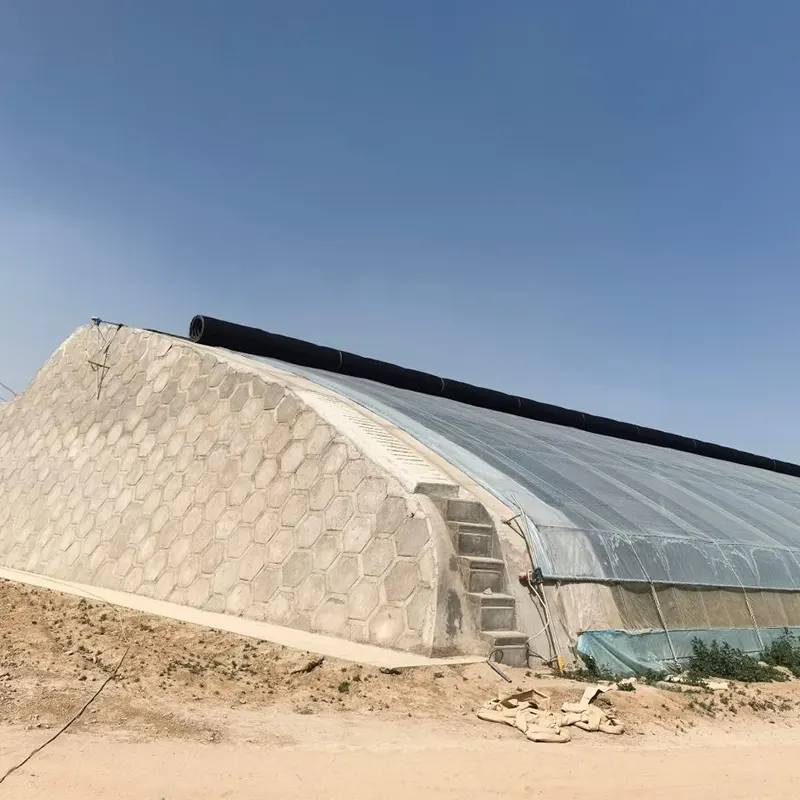 الدفيئة الشمسية الجاهزة ذات الإطار الفولاذي المزدوج