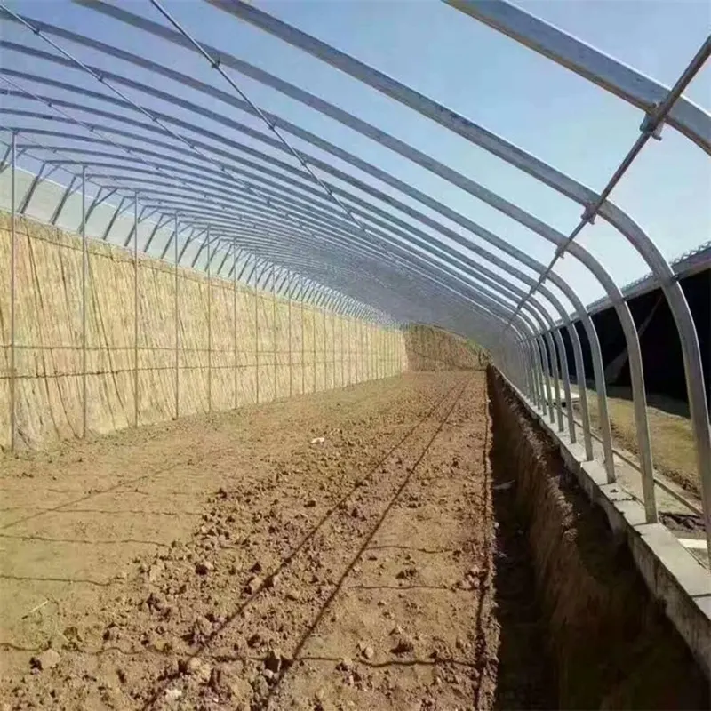 Beef Cattle Breeding Shed