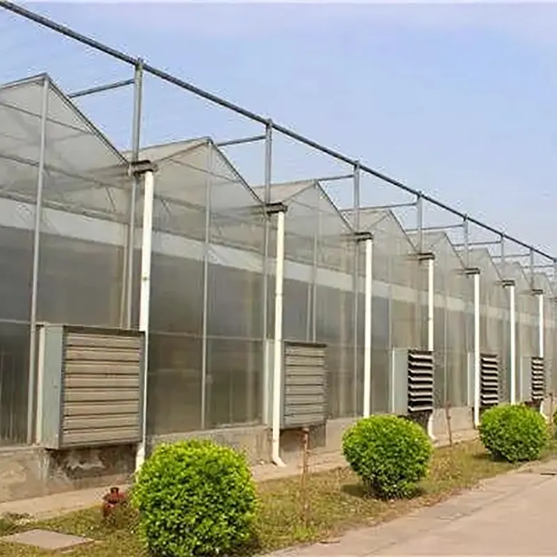 البيت الأخضر الزجاجي المجوف متعدد الطبقات ذو الطبقة المزدوجة البيت الأخضر الزجاجي المجوف متعدد الطبقات ذو الطبقة المزدوجة